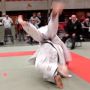 seoi nage