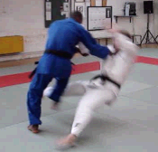 Ko uchi gari